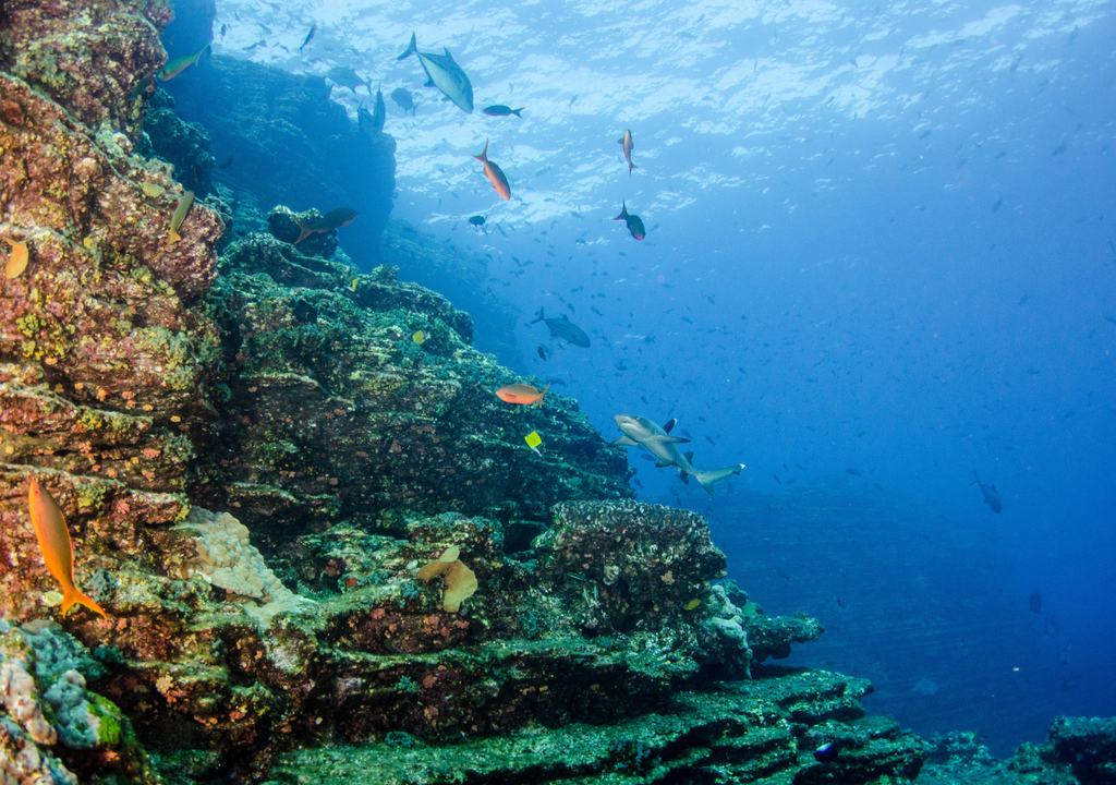 Archipiélago de Revillagigedo