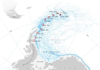 Gigantesco iceberg podría alcanzar la isla Georgia del Sur