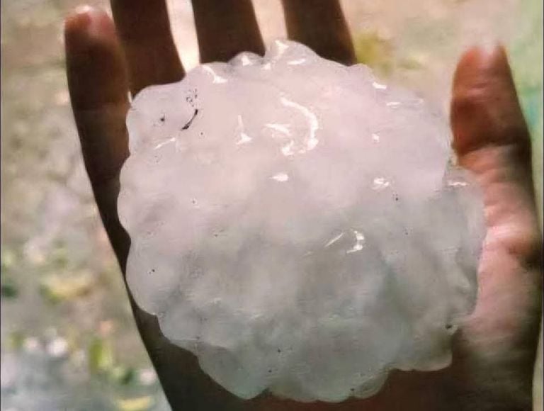 Gigantescos granizos ocasionan importantes daños en Coahuila