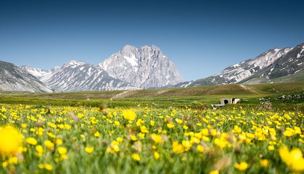 Campo Imperatore in primavera, con il Gran Sasso sullo sfondo