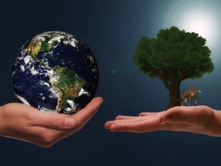 Giornata Mondiale dell’Ambiente: 3 semplici gesti per salvare la Terra