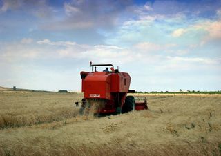 Giugno, il mese in cui inizia l'estate