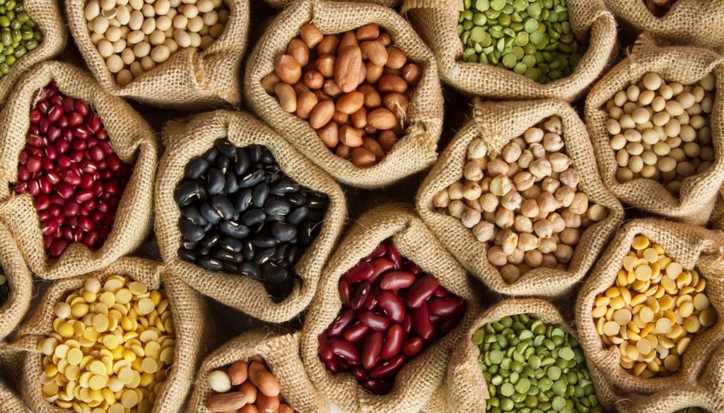 I legumi, tra i capisaldi della dieta mediterranea, sono un alimento dalle infinite proprietà benefiche
