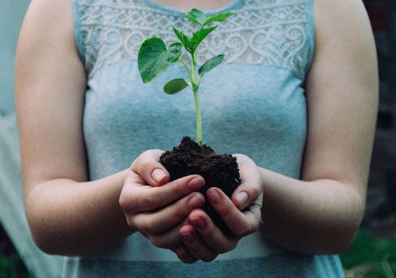 Un nuovo studio rileva che, dopotutto, gli esseri umani potrebbero essere utili alla biodiversità. Immagine di Nikola Jovanovic su Unsplash