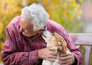 Los increíbles resultados que logra la terapia con mascotas, los beneficios aportados al mundo científico