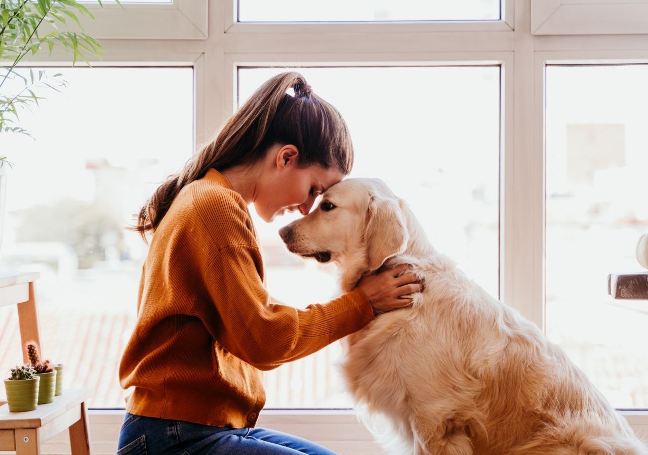 Fiumi di ricerche e studi scientifici hanno dimostrato come gli animali fanno bene alla salute.
