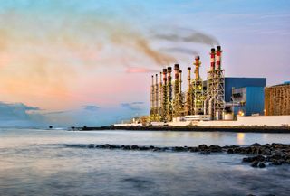 Gli scienziati cercano di salvare il Mar Piccolo d’Italia: le piante potrebbero ripulire decenni di inquinamento