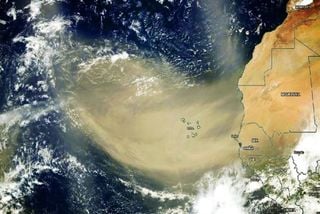 Scienziati scoprono che la polvere del Sahara è tanto più efficace per la vita quanto più viaggia nell'atmosfera