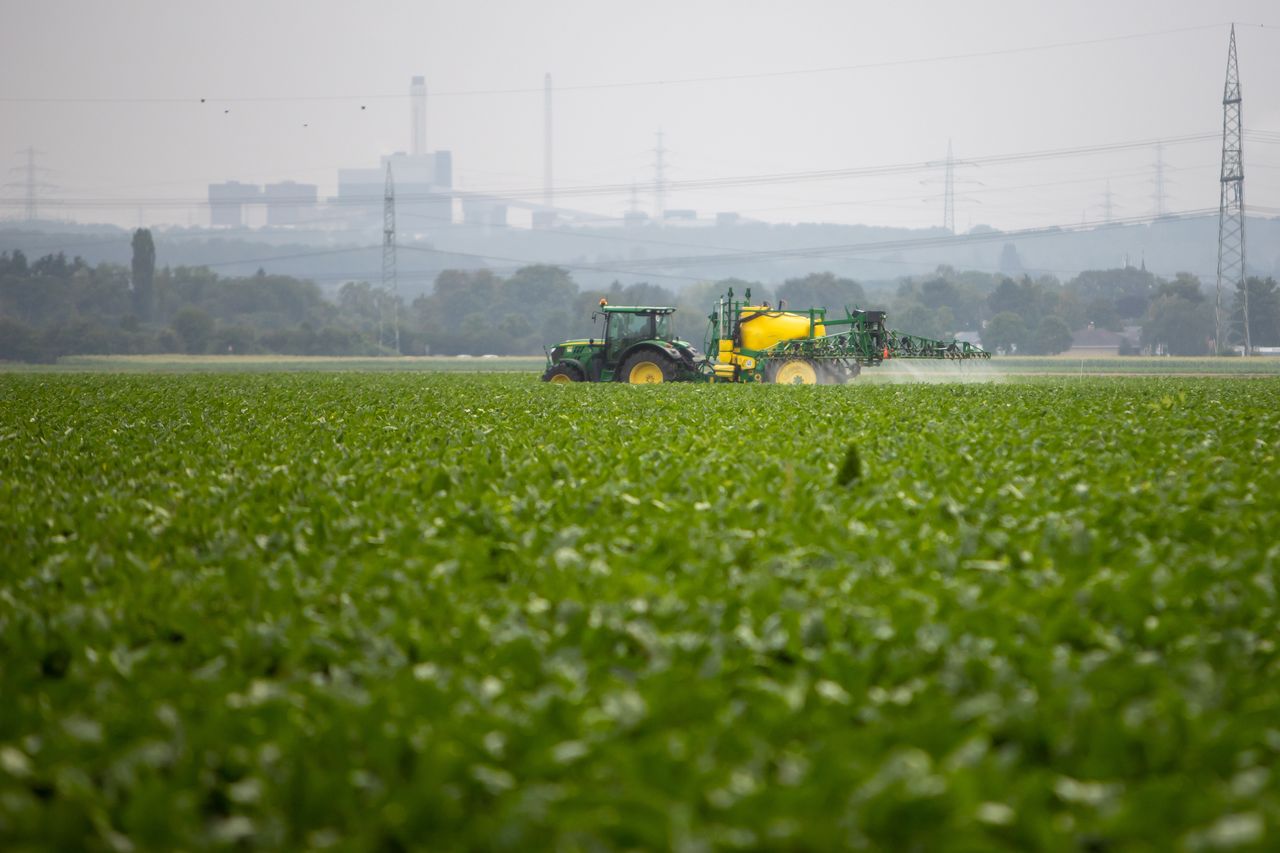 Glifosato: el herbicida más polémico, ¿qué es?