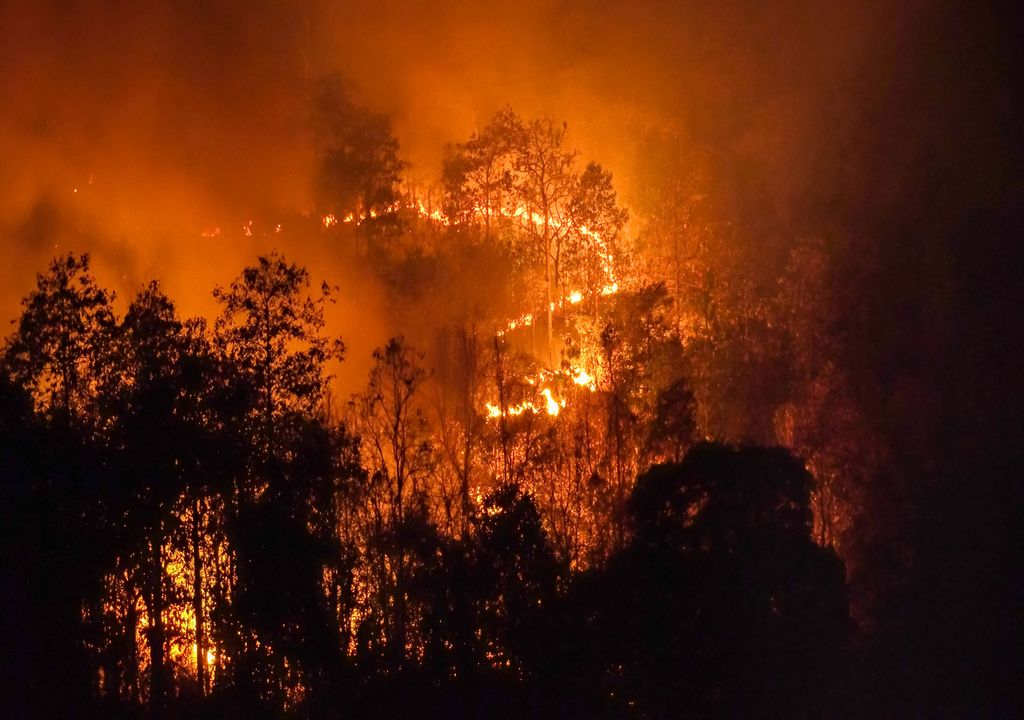 árboles en llamas en medio de la noche en un incendio forestal