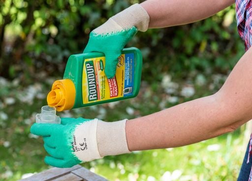 Glyphosate : une influente étude favorable au pesticide désavouée 25 ans plus tard. Pourquoi ce retournement ?