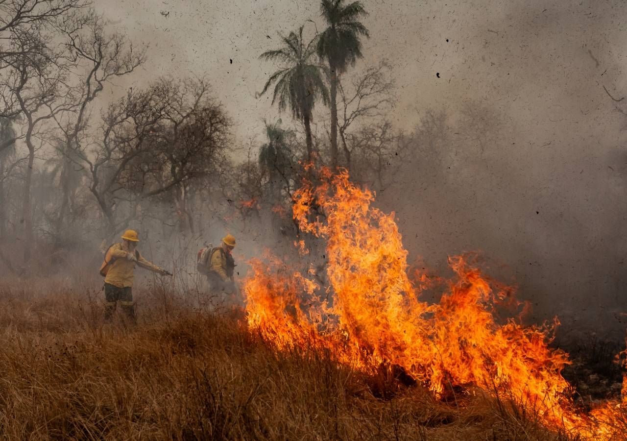 Entre os anos de 2023 e 2025, a GNR levantou 1.634 autos de contraordenação contra várias entidades por incumprimento das normas aplicáveis ao Sistema de Gestão Integrada de Fogos Rurais.
