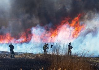 Gobierno de Brasil sospecha que la ola de incendios es intencional, hay al menos 2 detenidos