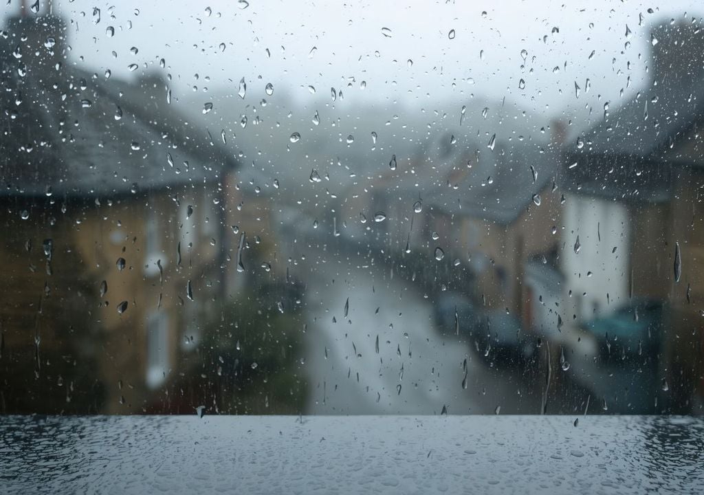 Herbst Oktober Regen nass kühl grau Auch solch ein Wetter gehört zum Herbst dazu. Grau, Regen, nass: das könnte uns am Donnerstag in weiten Teilen Deutschlands erwarten