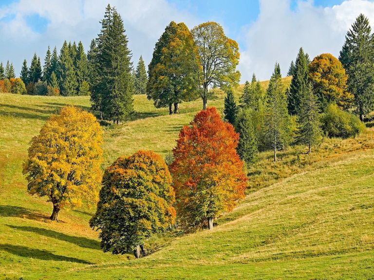 Heißer und trockener Oktober Heißer und trockener Oktober