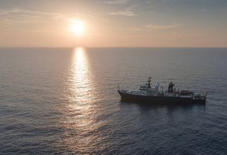 Golfo di Napoli, scoperta una spettacolare scogliera corallina a 500 metri di profondità