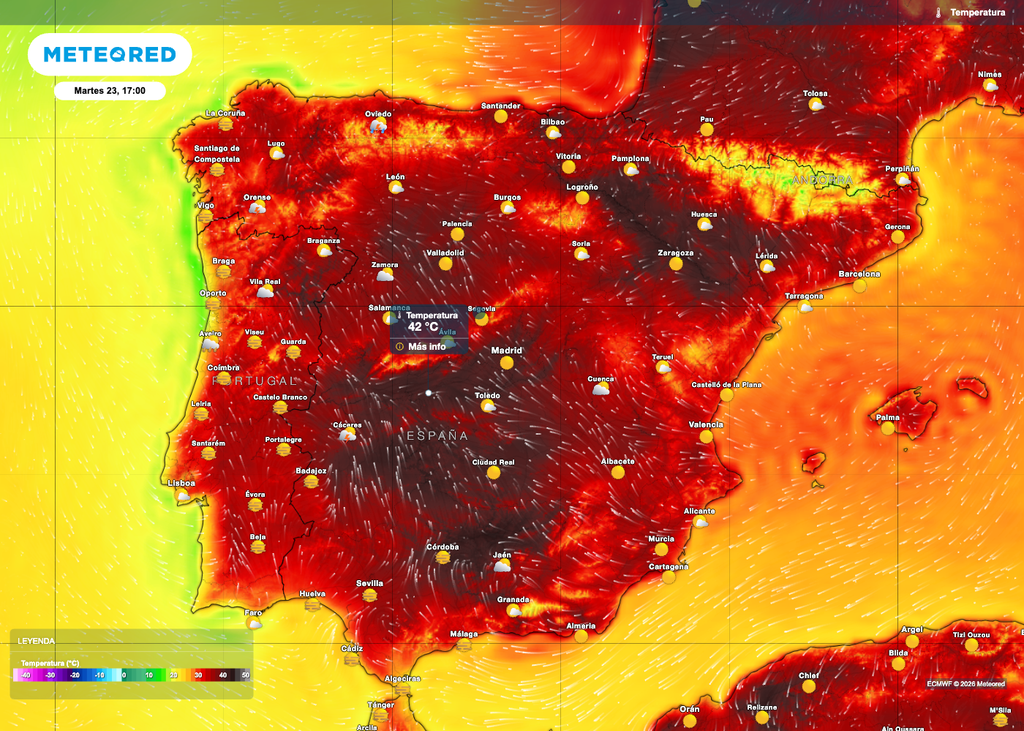 En estos días que muestran temperaturas cercanas a los 40 ºC hay que tomar muchas precauciones.