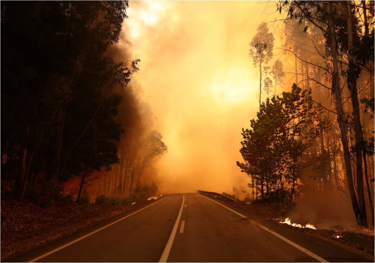El humo de un incendio forestal en Junqueiro, Águeda, Portugal, el 17 de septiembre de 2024. Crédito: Pedro Nunes/Reuters.