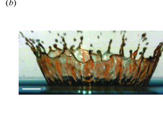 Los investigadores analizan con detalles únicos e impresionantes cuando una gota cae e impacta en una superficie líquida