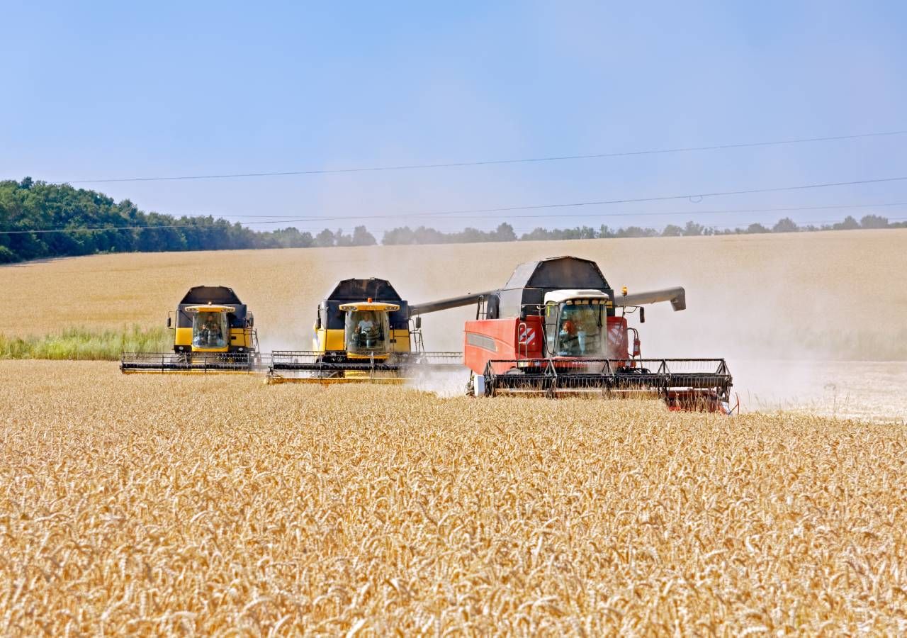 A indefinição das regras das ajudas da PAC gera “desconfiança” nos agricultores, a que se soma a “complexidade de todo o sistema de ajudas” introduzido pelo PEPAC.
