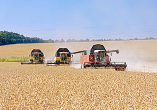 Governo cede aos agricultores e prorroga prazo da candidatura ao Pedido Único de 2025 até 6 de junho