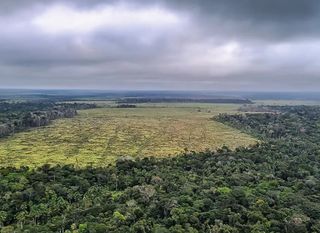 Governo do Mato Grosso veta projeto de lei que reclassificaria áreas da Amazônia como Cerrado