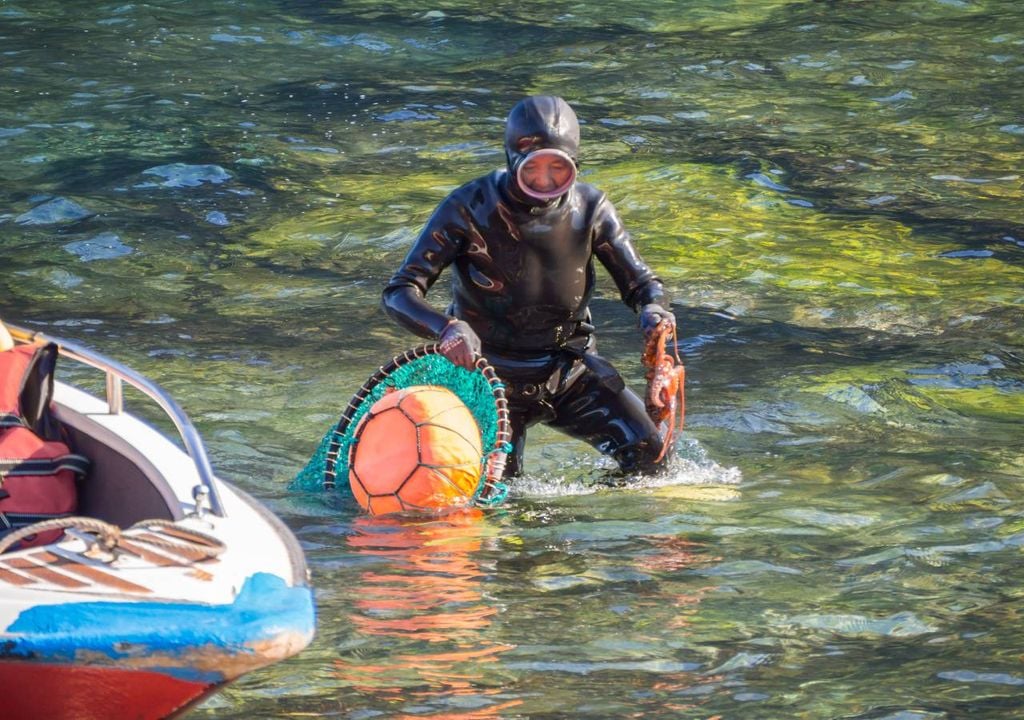 Pesca lúdica Pesca lúdica