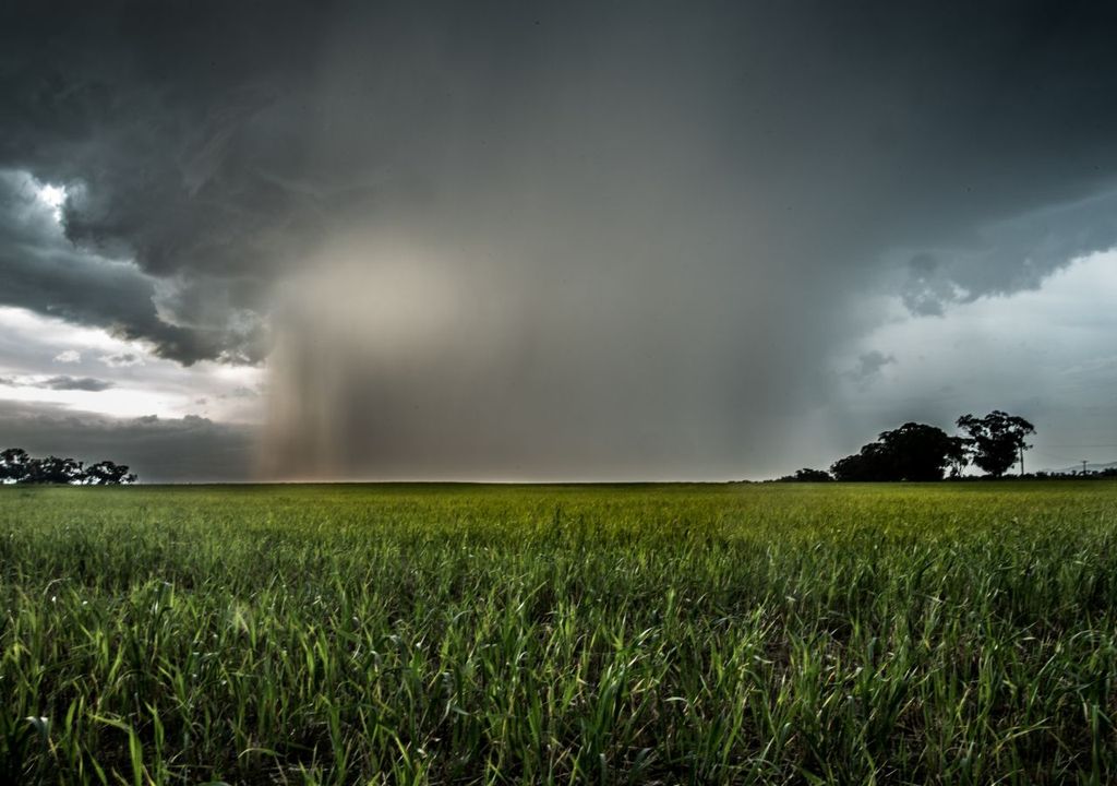 El lugar donde el microburst golpea primero es el que experimenta los vientos más inclementes y el mayor daño.