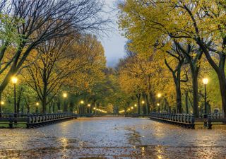 Gradual aumento en la incidencia de frentes fríos en territorio mexicano