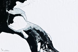 Un gran iceberg antártico se pone en movimiento