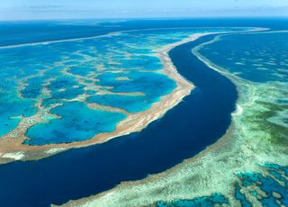 Grande Barrière de Corail "en danger" : ce que l'Australie n'admet pas