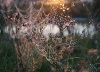 Grande fraîcheur digne d'un mois de novembre cette semaine ! Voici les prévisions en France