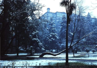 Grandes nevadas en México: enero de 1967 cuando la mitad del país se cubrió de nieve