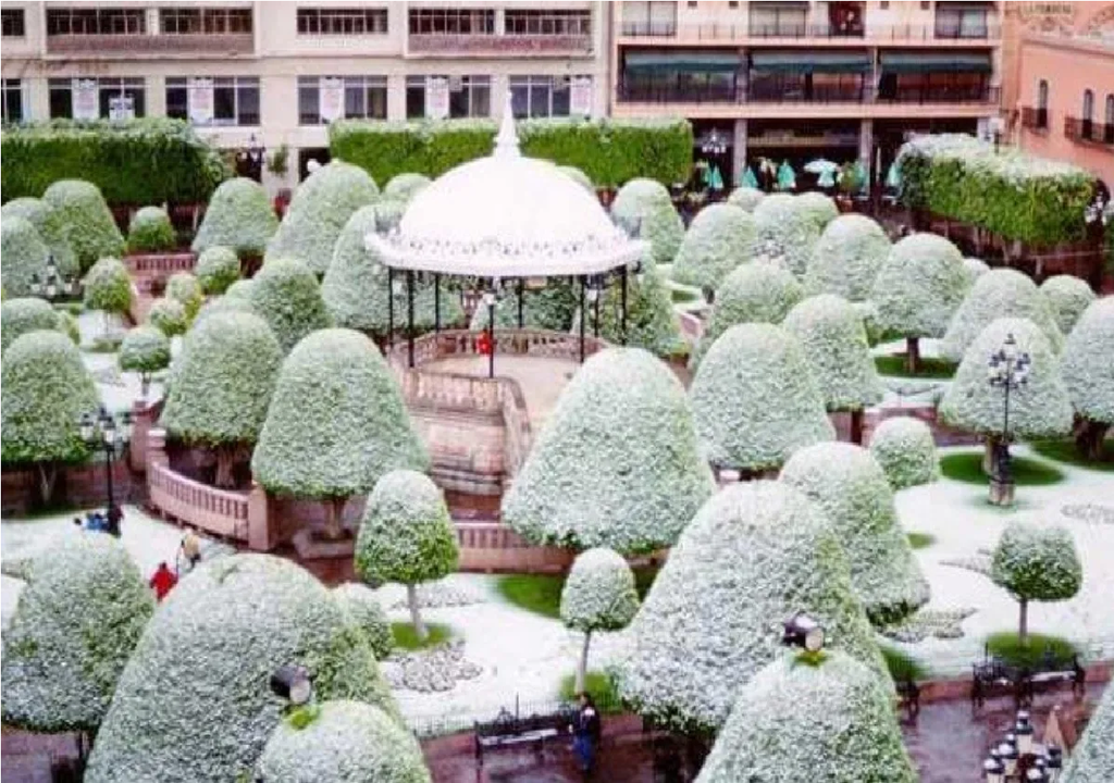 Nevada en León, Guanajuato