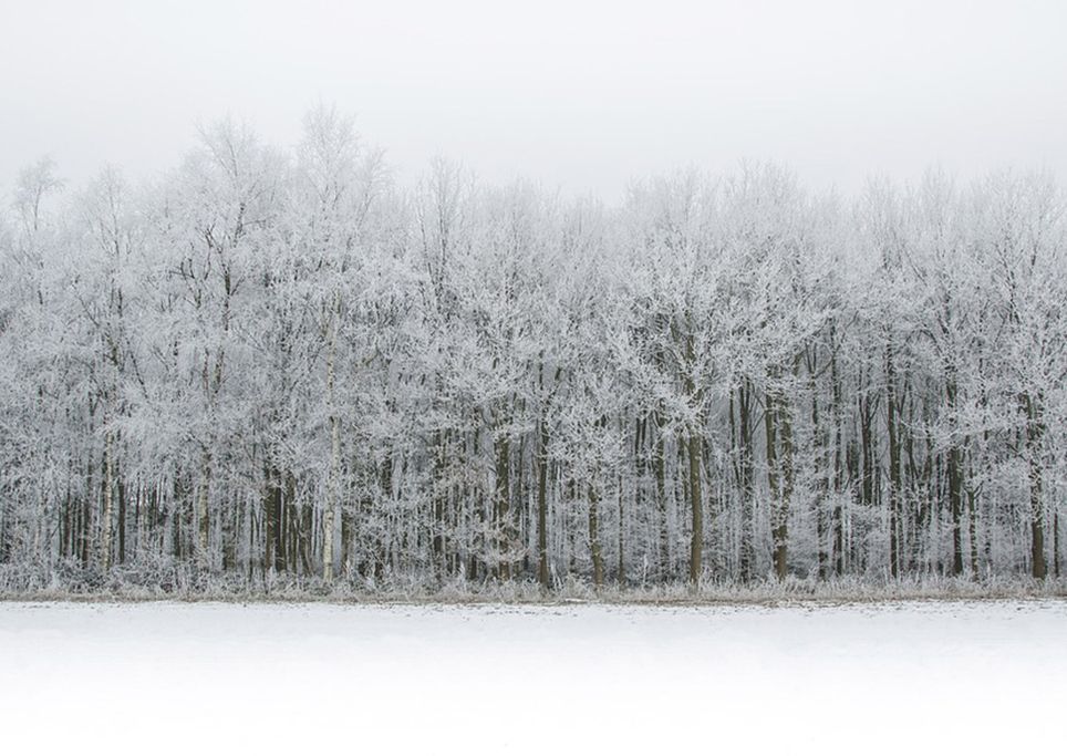 TEMPO INVERNALE TEMPO INVERNALE