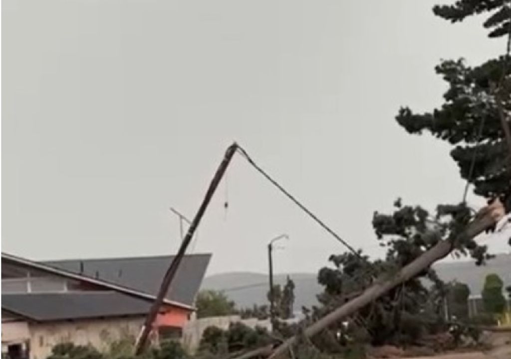 caida árbol sin luz patagonia