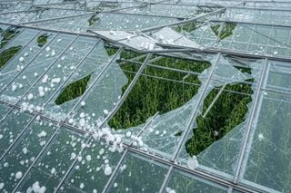 Granizo no Sul: lavouras destruídas e o desafio de se proteger