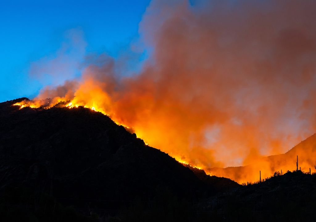 Incendio forestal en ladera