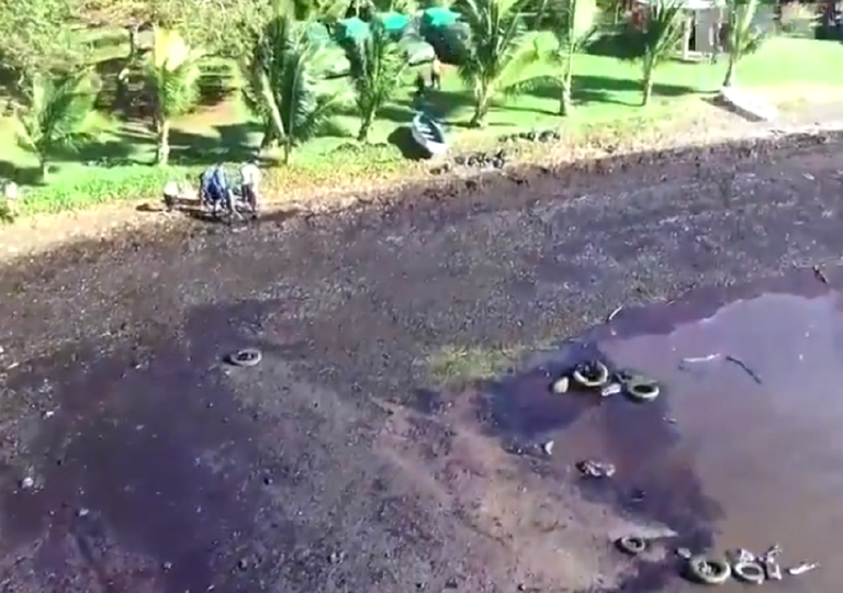Grave disastro ambientale alle Mauritius: ecco i video Grave disastro ambientale alle Mauritius: ecco i video