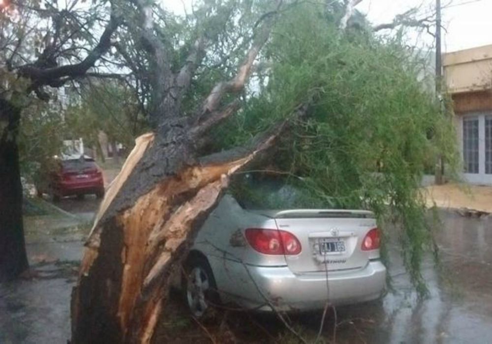 Carlos Casares tormenta