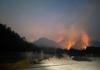 Miles de hectáreas dañadas por incendios forestales en el país