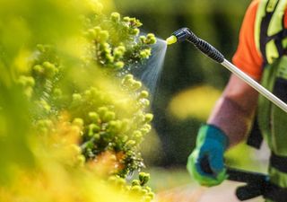 Greenpeace y Public Eye advierten: España exportó casi 12.900 toneladas de plaguicidas prohibidos en 2024