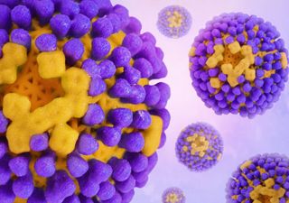 Grippeschutzimpfung: Diese Personengruppen sollten sich in diesem Herbst bevorzugt impfen lassen