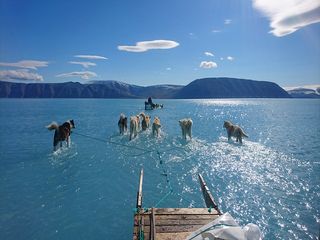 ¿Groenlandia sin hielo? Y el nivel del mar, ¿7 metros más alto?