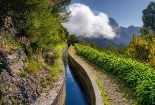 Grüne Berge, rauschendes Wasser und Lorbeerwald: In diesem Naturparadies weisen Kanäle Wanderen den Weg