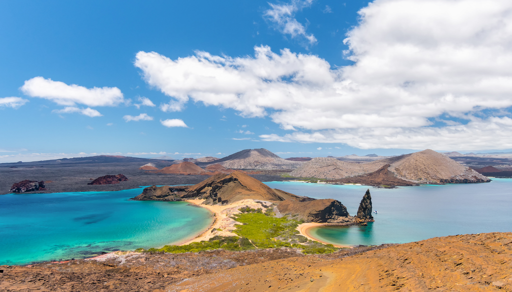 En las islas Galápagos, volcanes y aguas turquesa resguardan un santuario donde la vida marina depende de conservar a sus grandes depredadores. En las islas Galápagos, volcanes y aguas turquesa resguardan un santuario donde la vida marina depende de conservar a sus grandes depredadores.