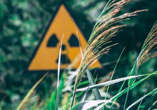 Guerra na Ucrânia: aumento da radiação em Chernobyl é preocupante