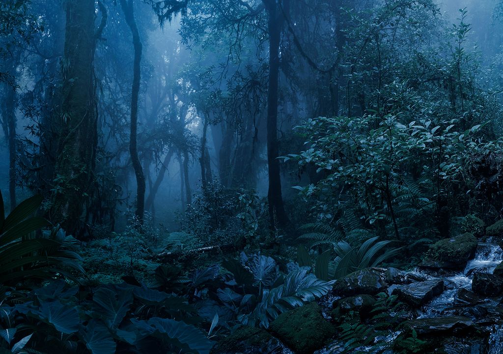 guerra catástrofe nuclear hongo sobrevivir alimento bomba oruga mariposa mopane guerra catástrofe nuclear hongo sobrevivir alimento bomba oruga mariposa mopane