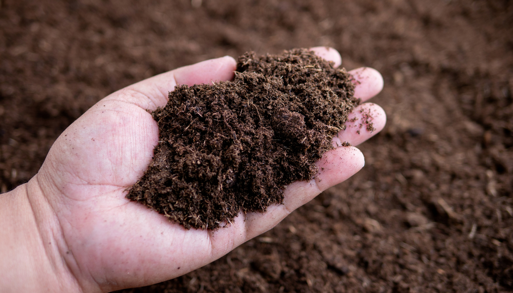 agricultura; seguridad alimentaria; conservacion; medio ambiente; guerra; crisis ambiental Un solo puñado de suelo fértil puede albergar miles de millones de microorganismos que reciclan nutrientes, almacenan carbono y hacen posible el crecimiento de las plantas.