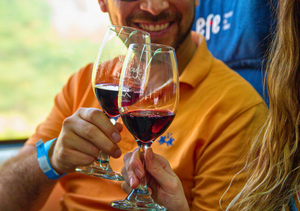 Tren Sabores del Maule.